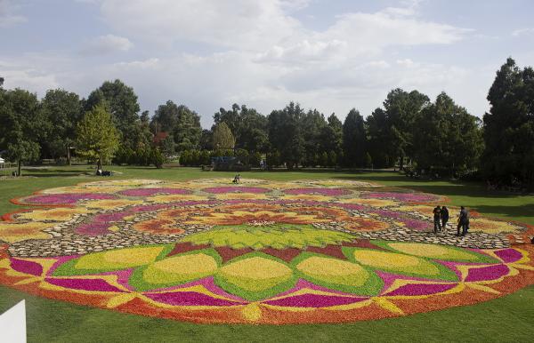 Día de la dalia 2015