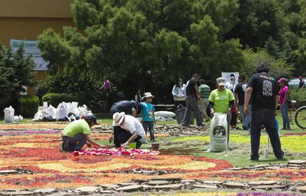Día de la dalia 2015