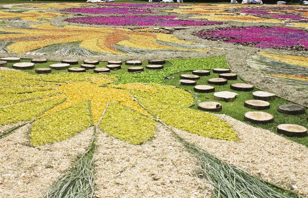 Día de la dalia 2015