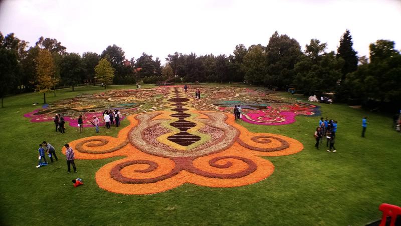 Enamorándome de las dalias