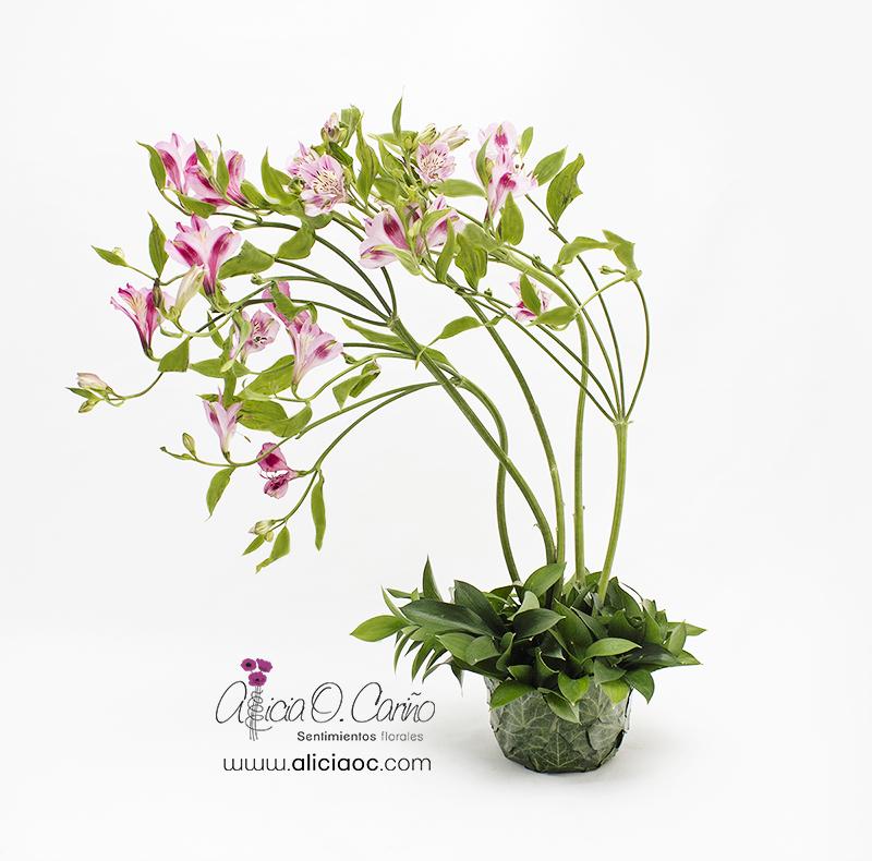 Las flores en los tiempos del viento